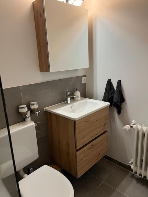 Isaak Appartement Harmonie Kussaberg Экстерьер фото